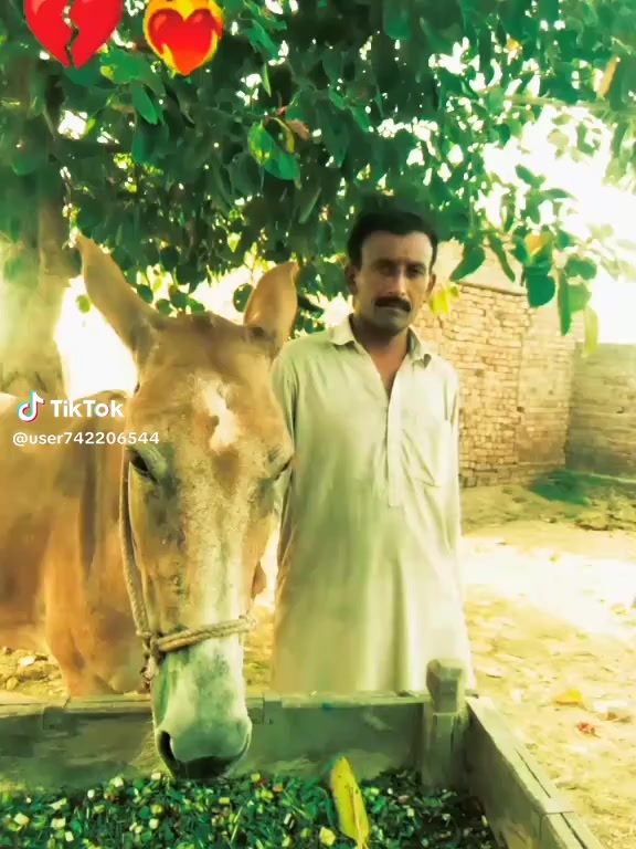 @MAZHAR REHMANI🔥