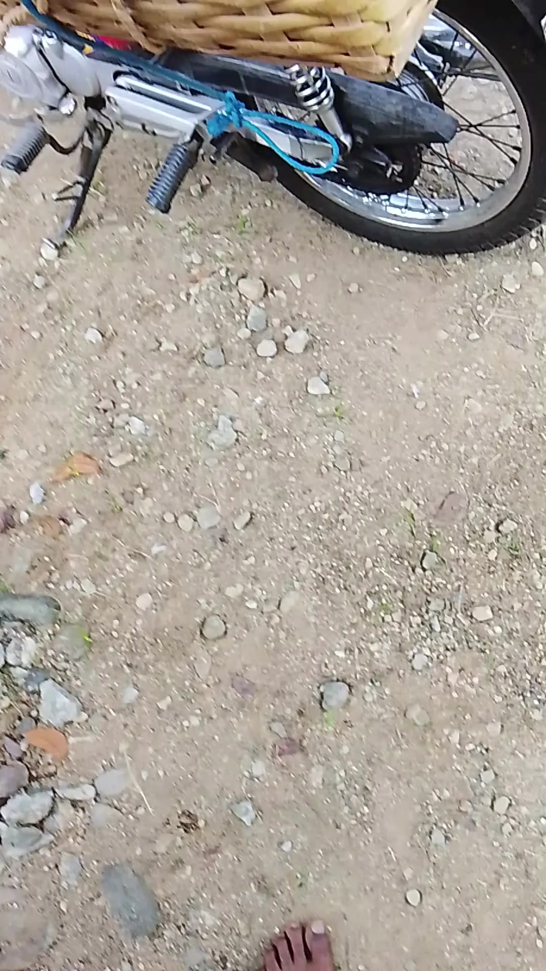 @BAROKAHKAMBING🐐