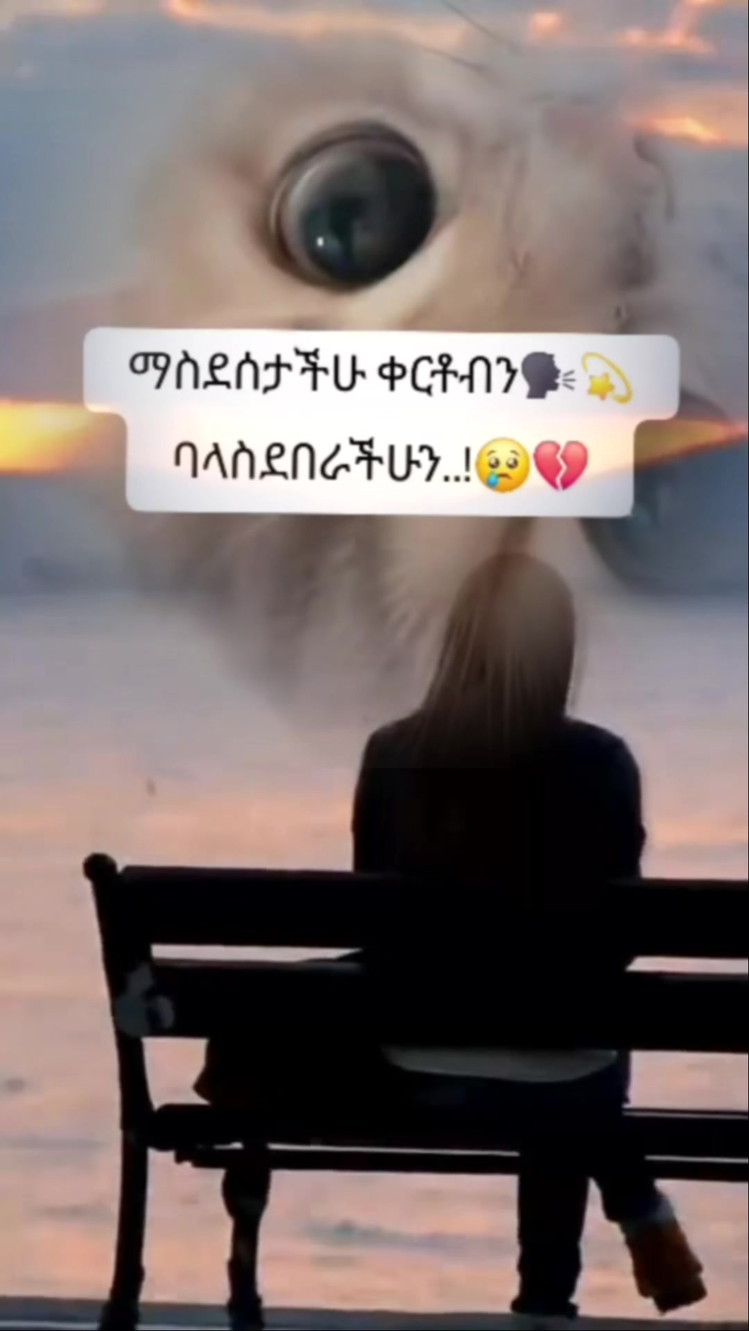 @ሰም እና ወርቅ