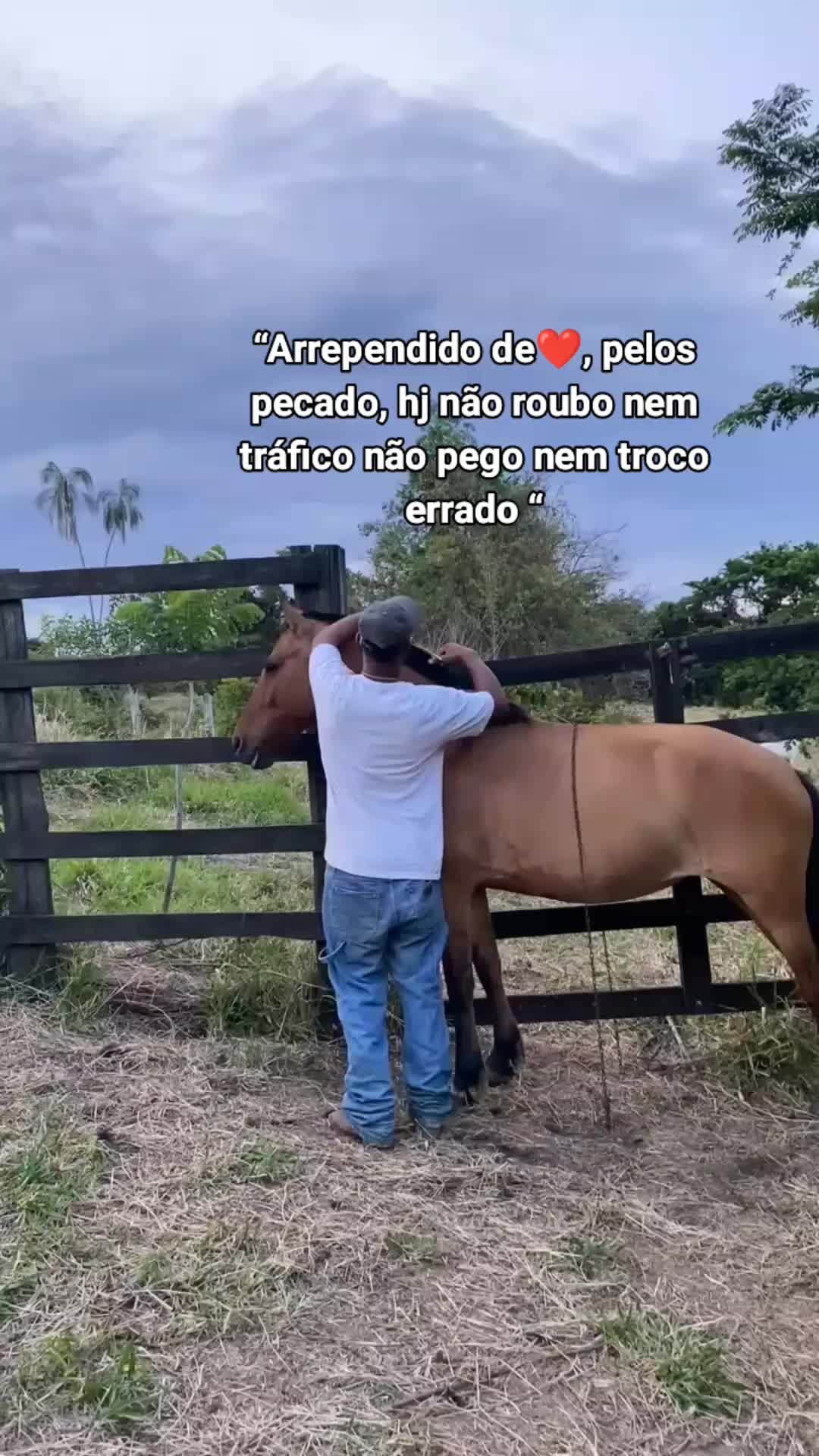 @Fernandin 🌵🇩🇬