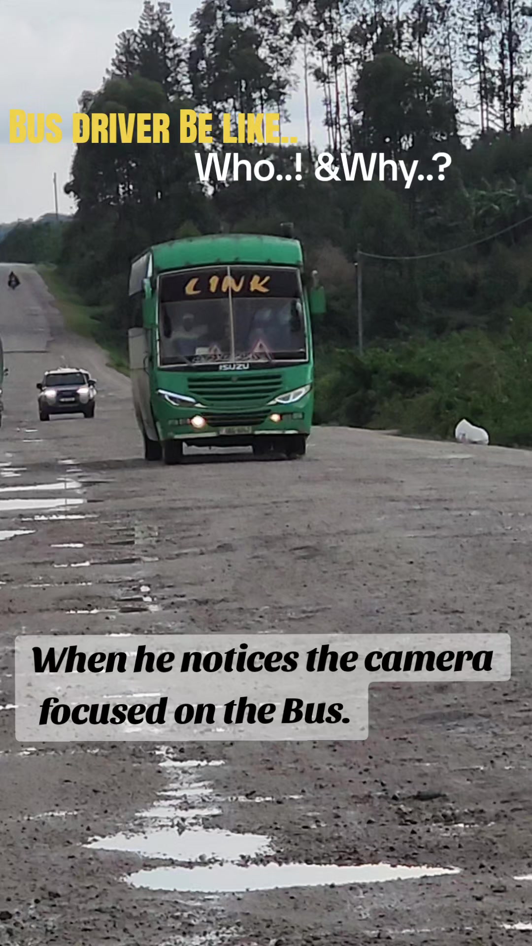 @Link Bus services Ltd