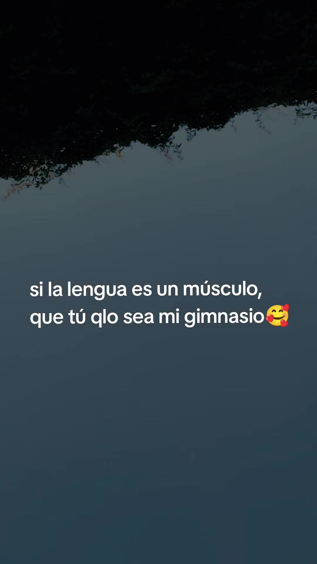 @armando diaz🌞