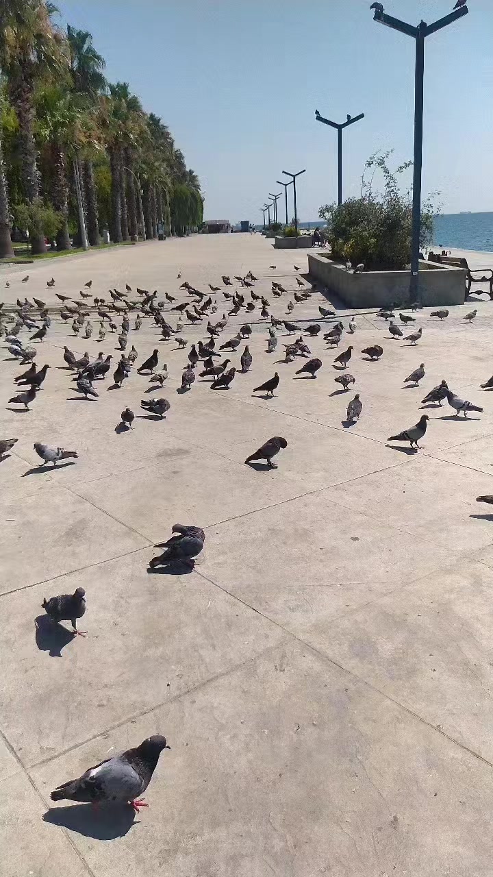 @Ela gözlümm❤️❤️