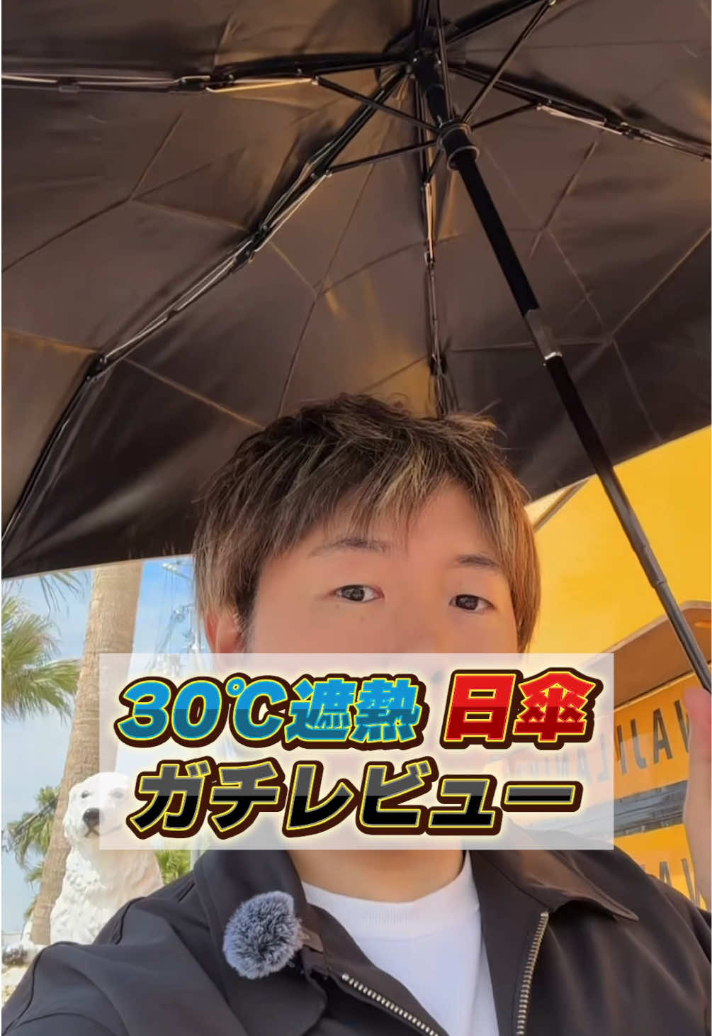 @ねくたん【お得品紹介】