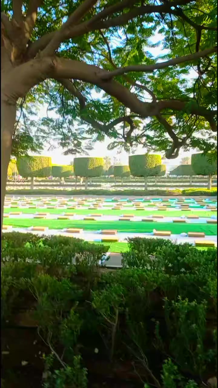 @আসমার জামাই⚡🔥