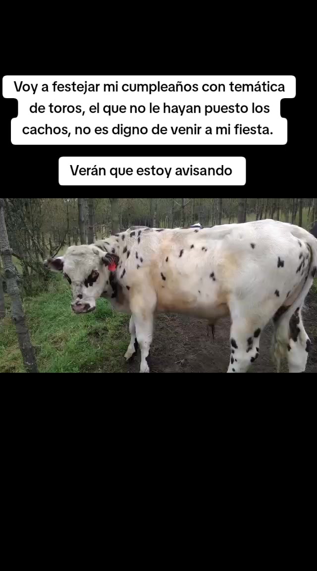 @Alejita Morales ๐ซ