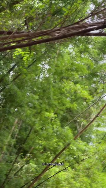@Pareng RUZZEL 🇹🇭
