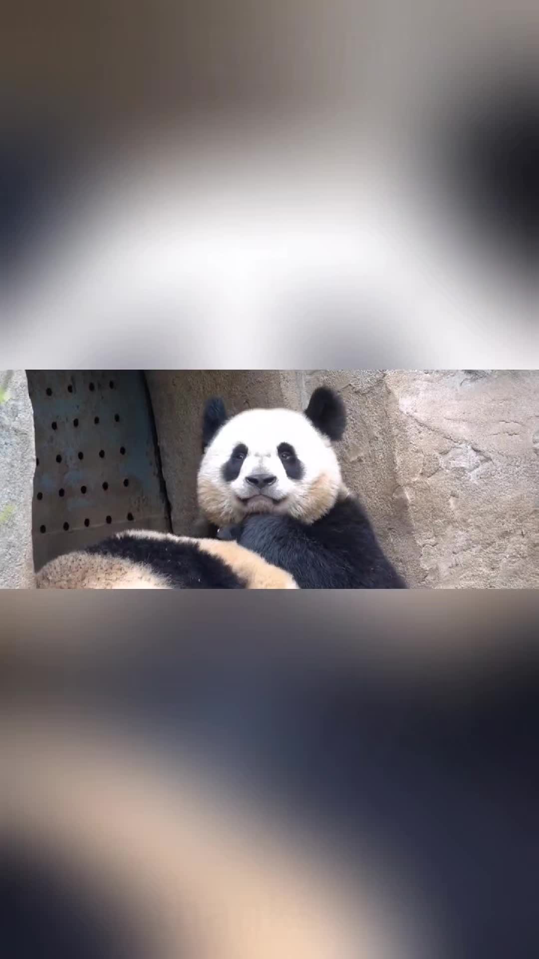 @fiesstano