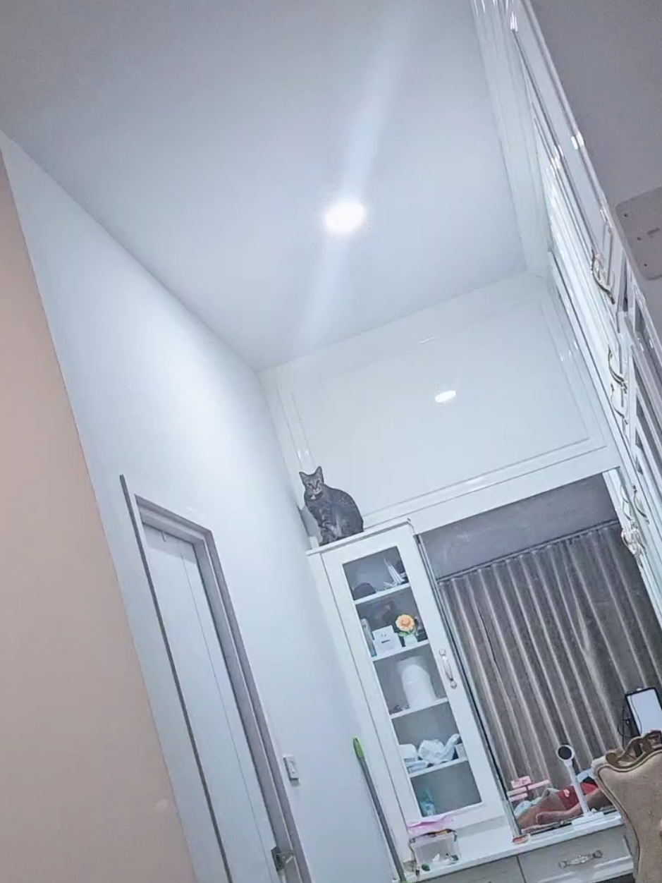 @layjudfamily🐾🐱