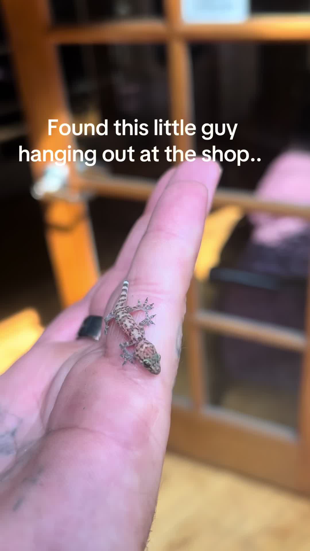 @Tattoo Extraordinaire