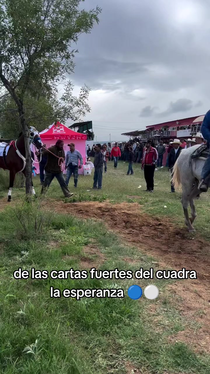 @carriles altos de jalisco🐎