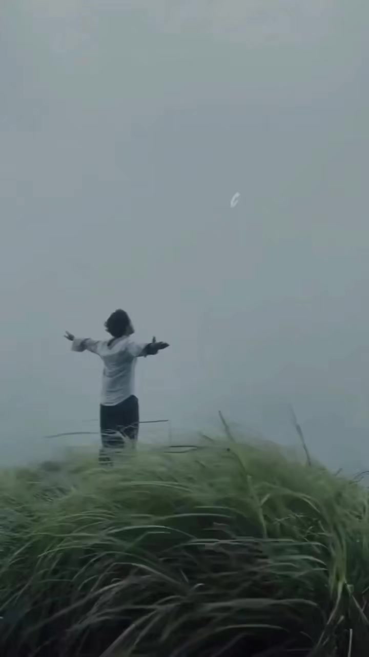 @❣️💫┗━⊱ 𝑹𝒆𝒅 ⊰━┛💫❣️