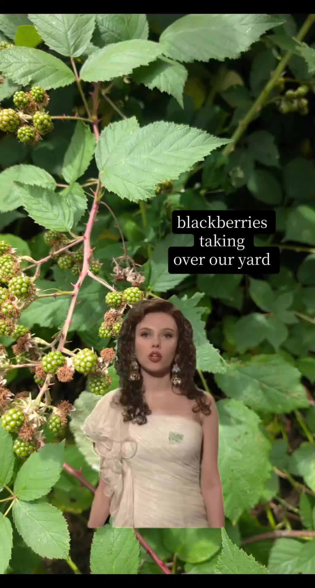 @Sarah