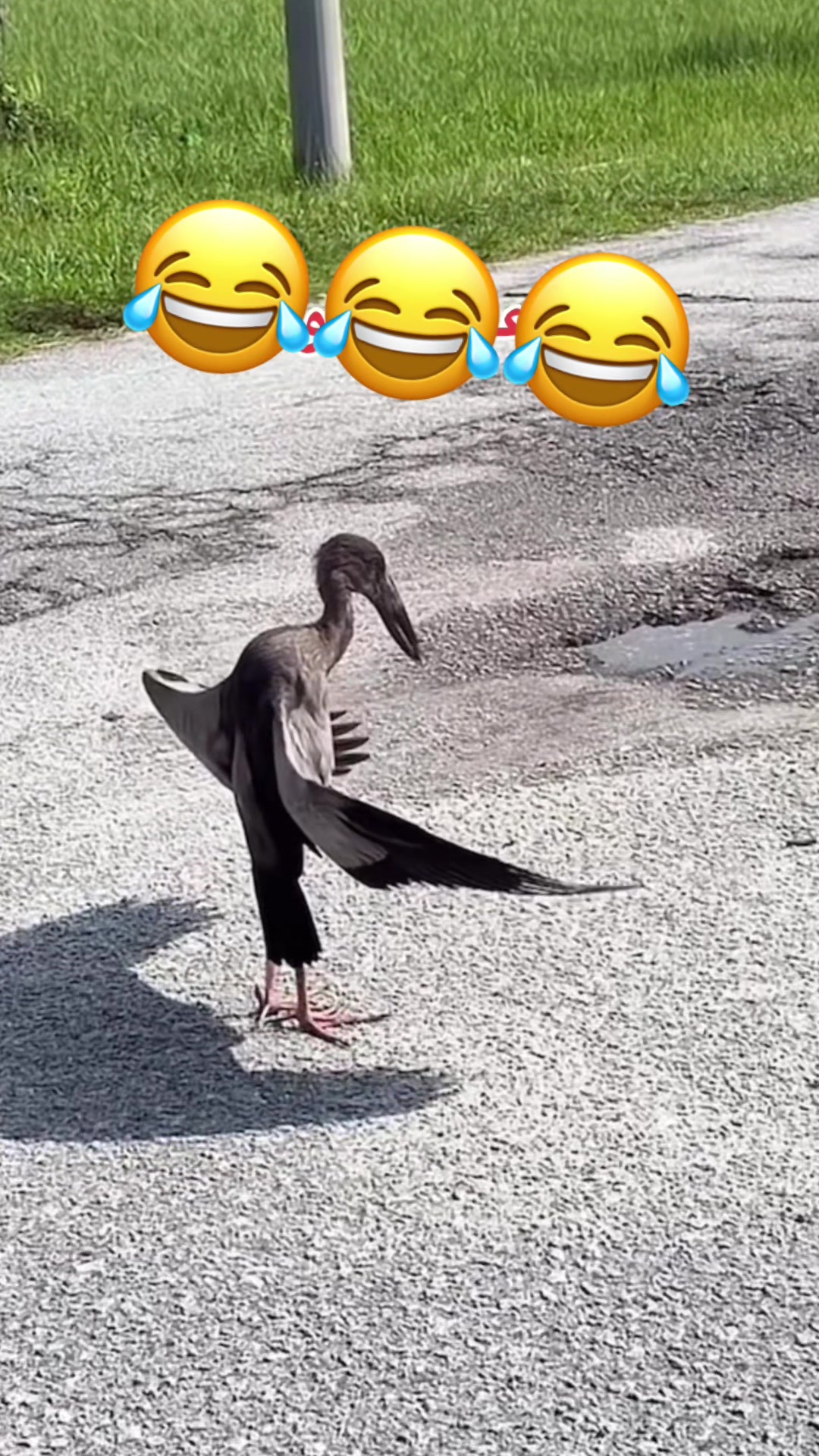 @Ali