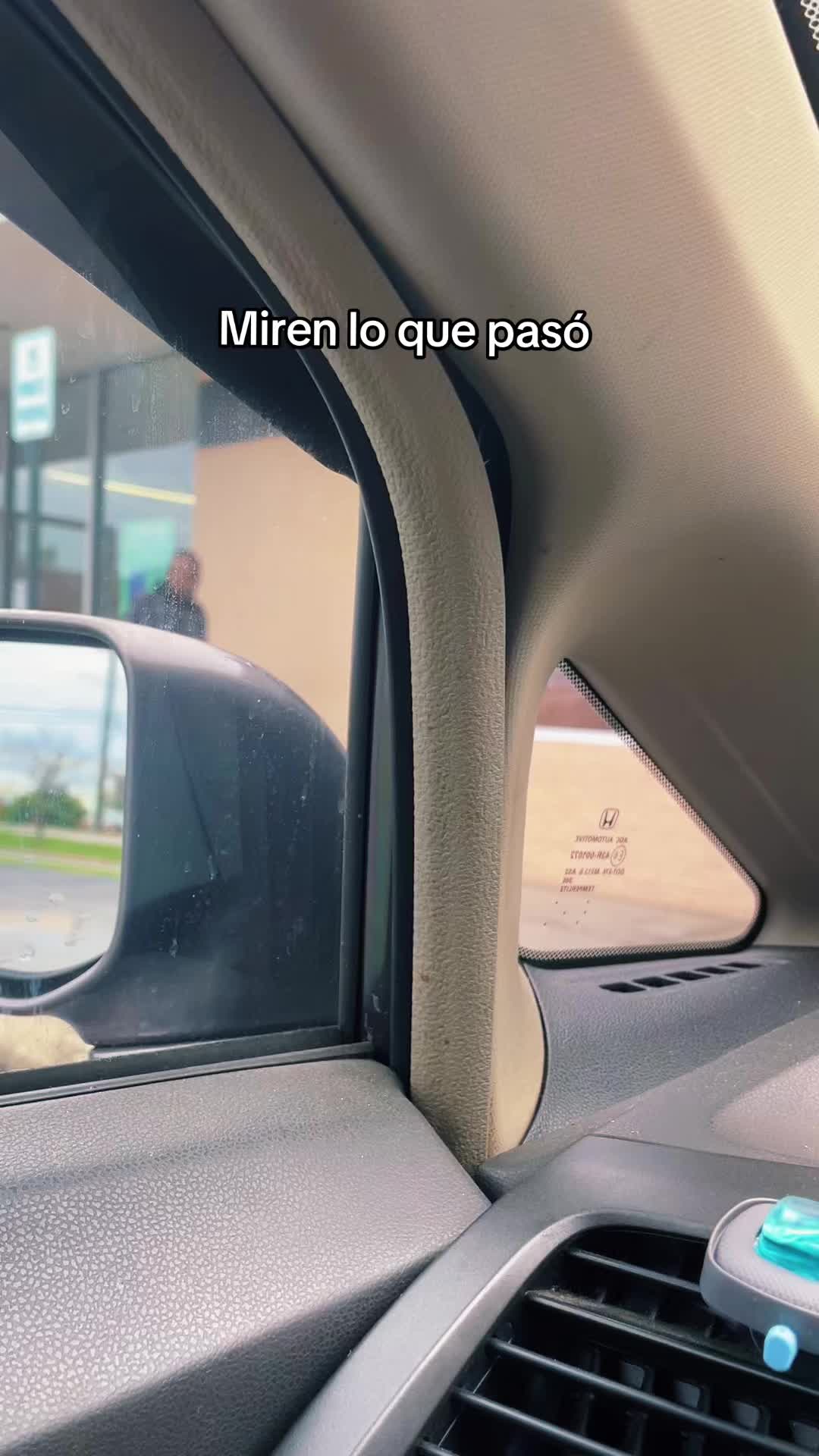 @El Gato503🐈⬛🇸🇻