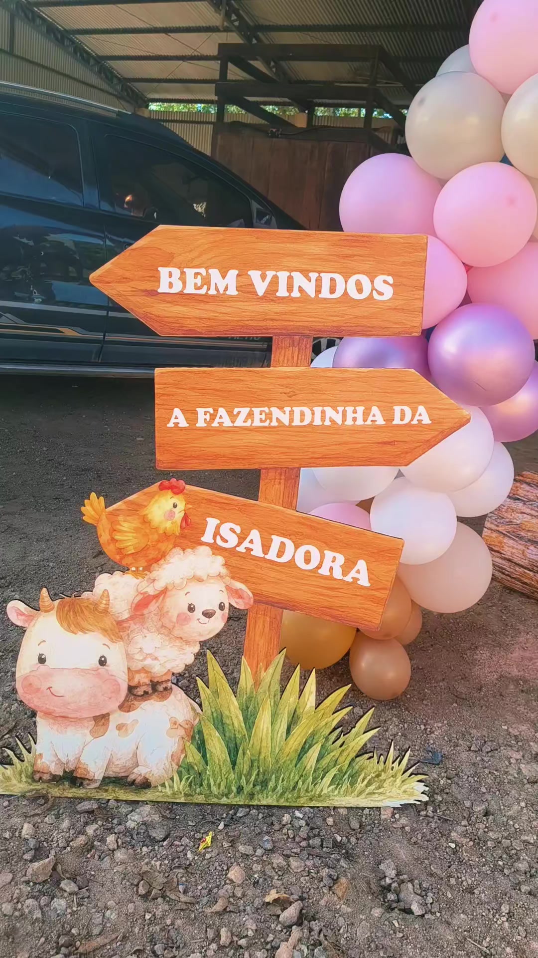 @Fran Decorações maos de fada