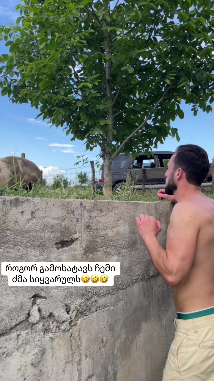 @ანი გერლიანი
