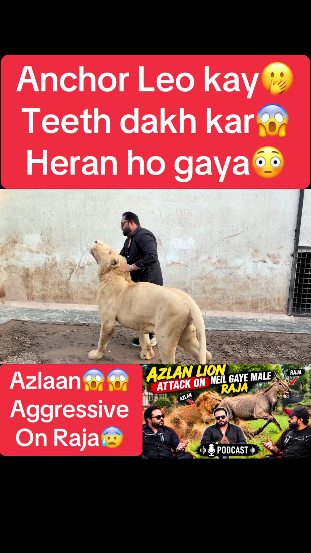 @Mian saqib