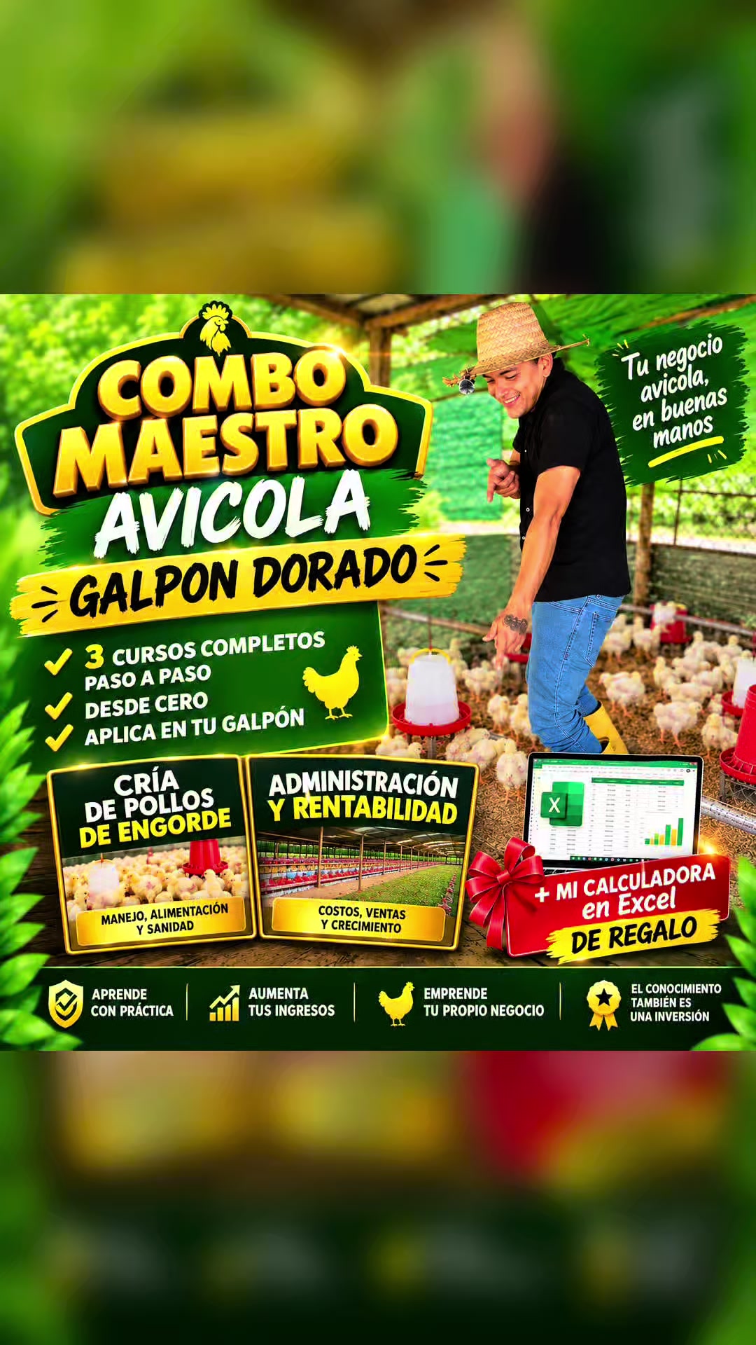 @elmagnatedelospollos