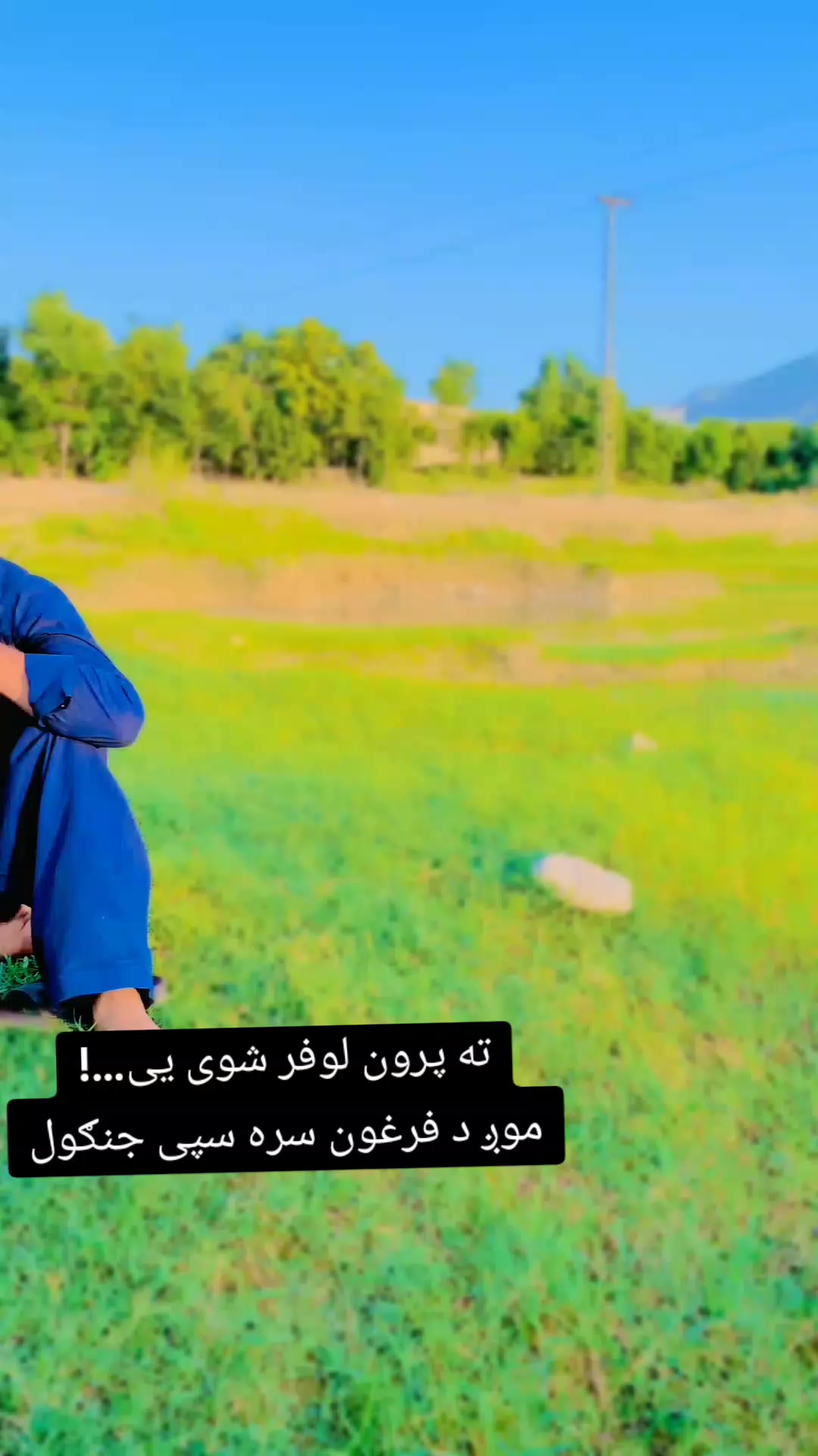 @🦁میاں،جی ،،سیعد، 🦁