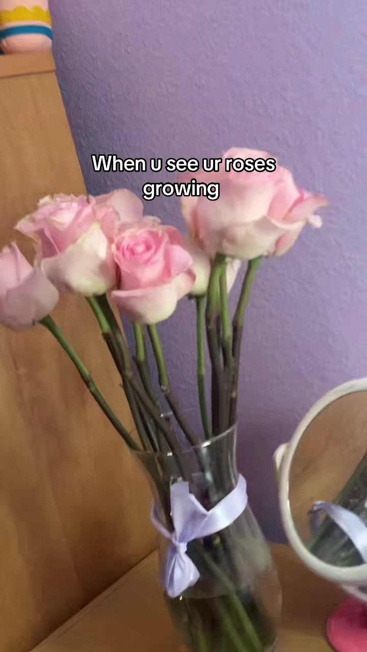@Usernotfound