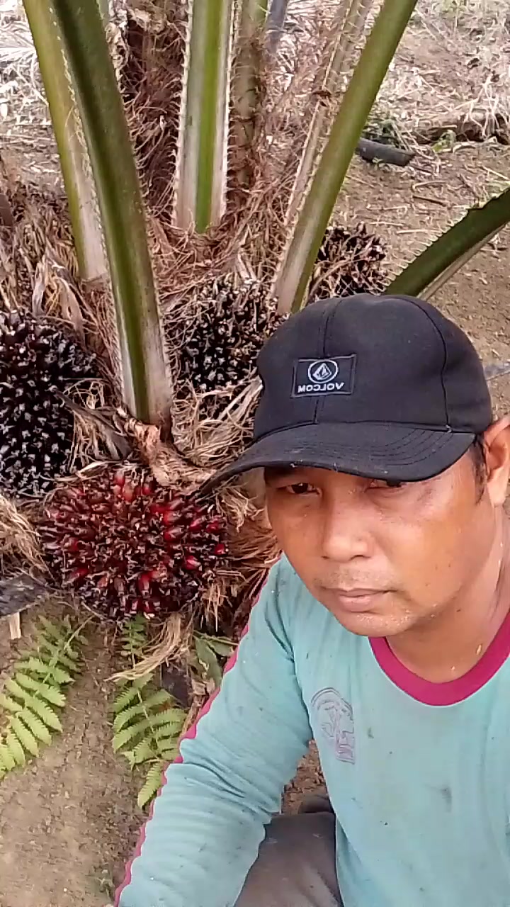 @KELAYAPAN 87