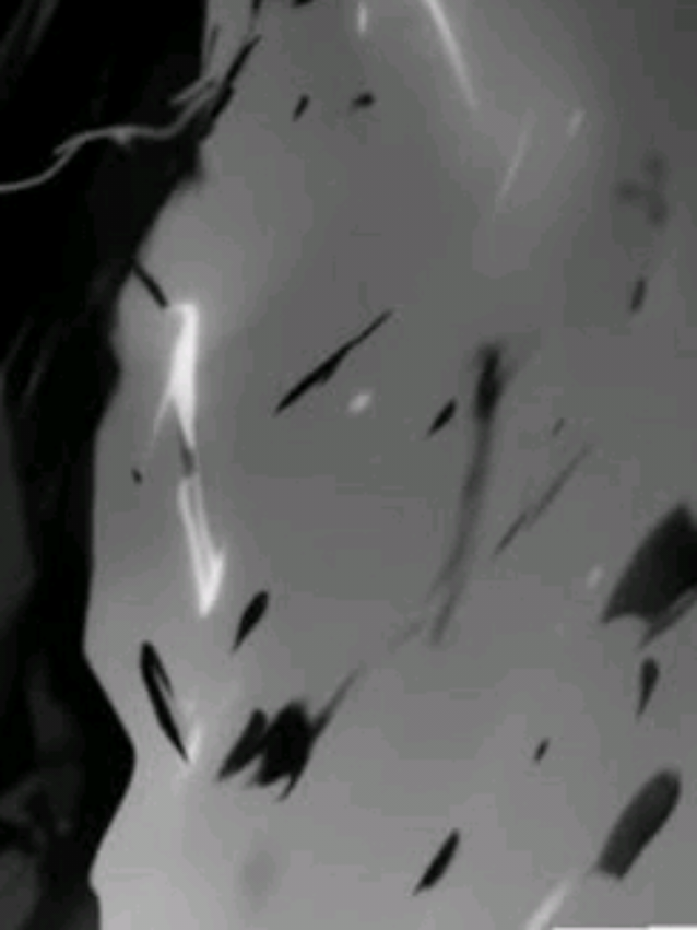 @𝙱𝙸𝙰 𝙻𝚢𝚛𝚒𝚌𝚜𖦤