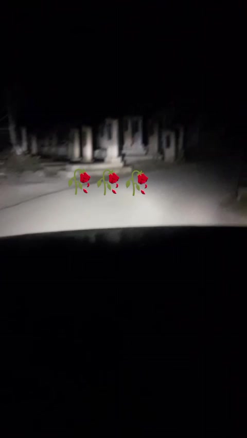 @╚»࿗ т.т.т ࿗«╝