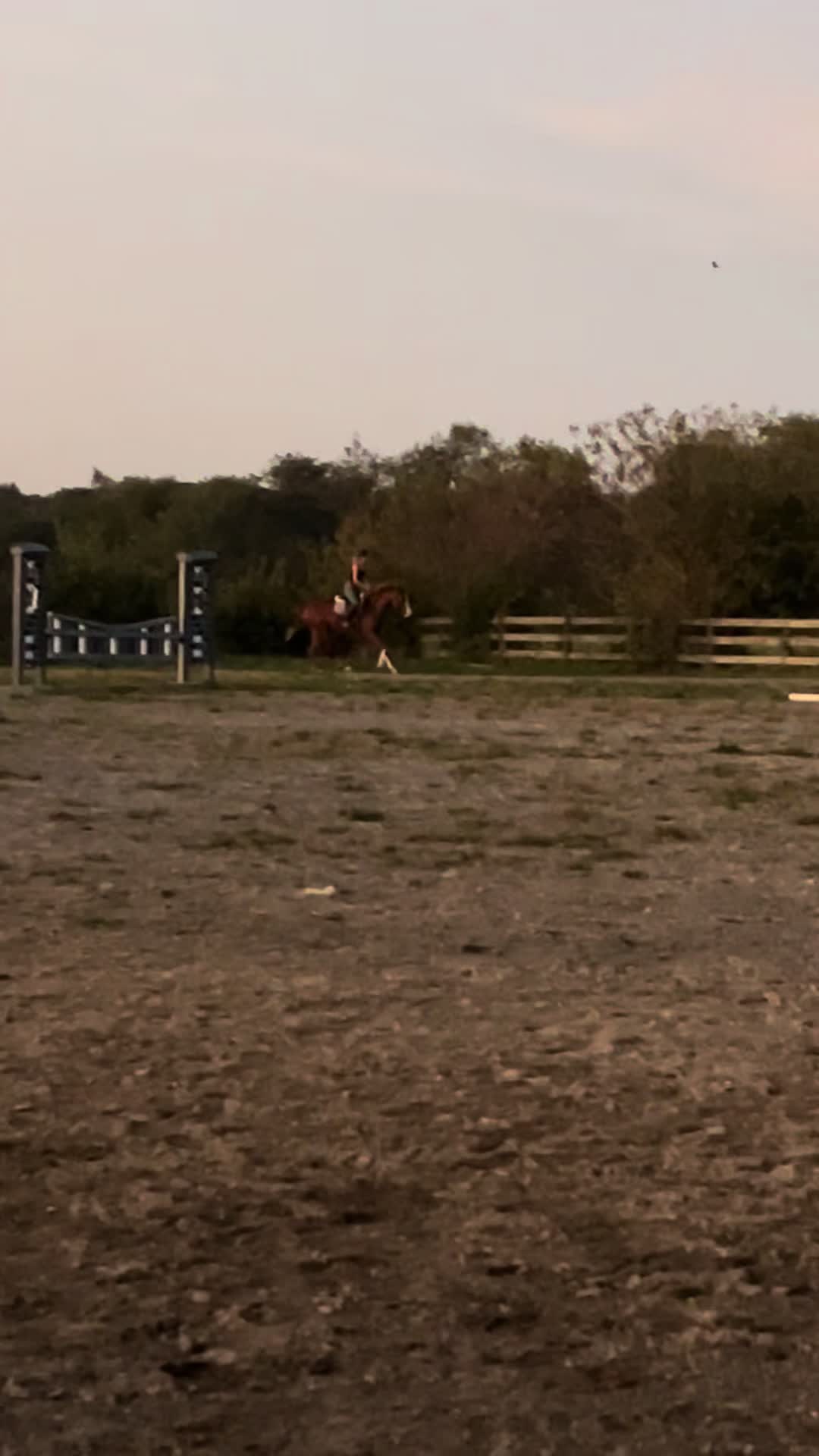 @s.riding25