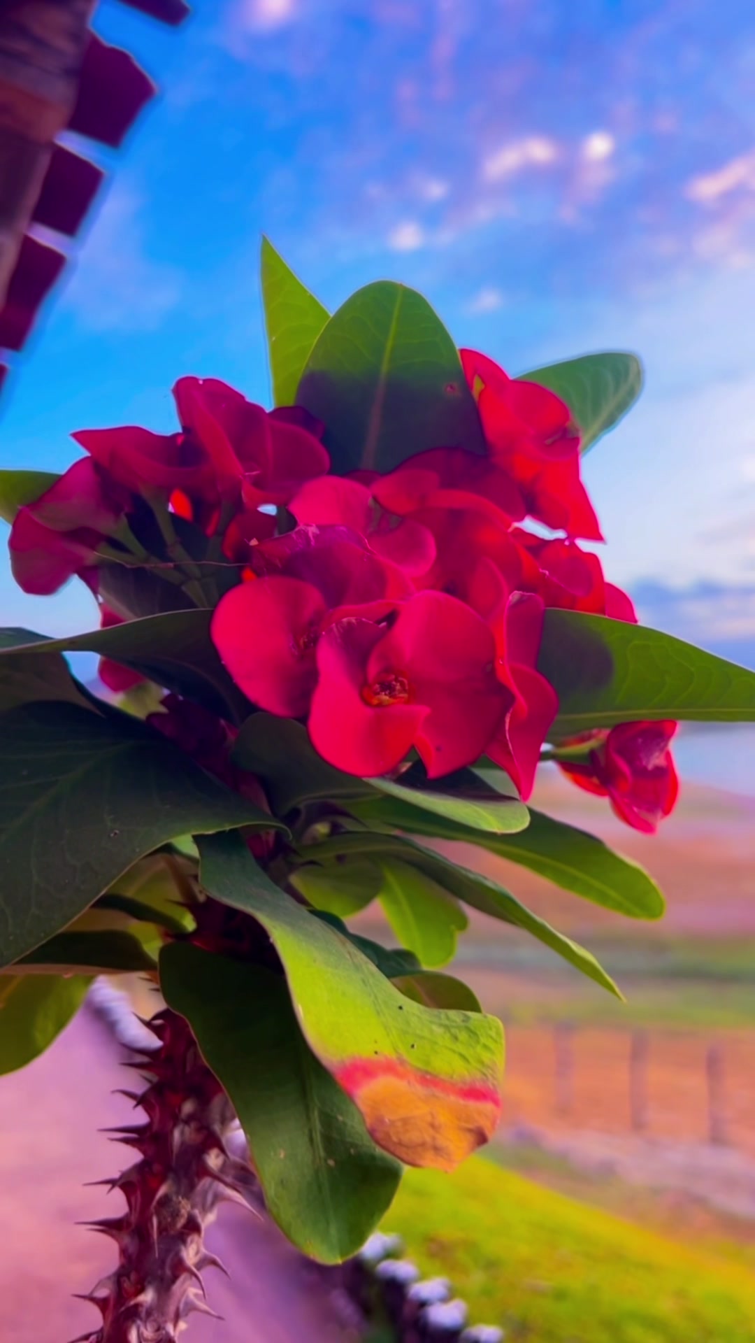 @Zulema-.JA.A.L🥰