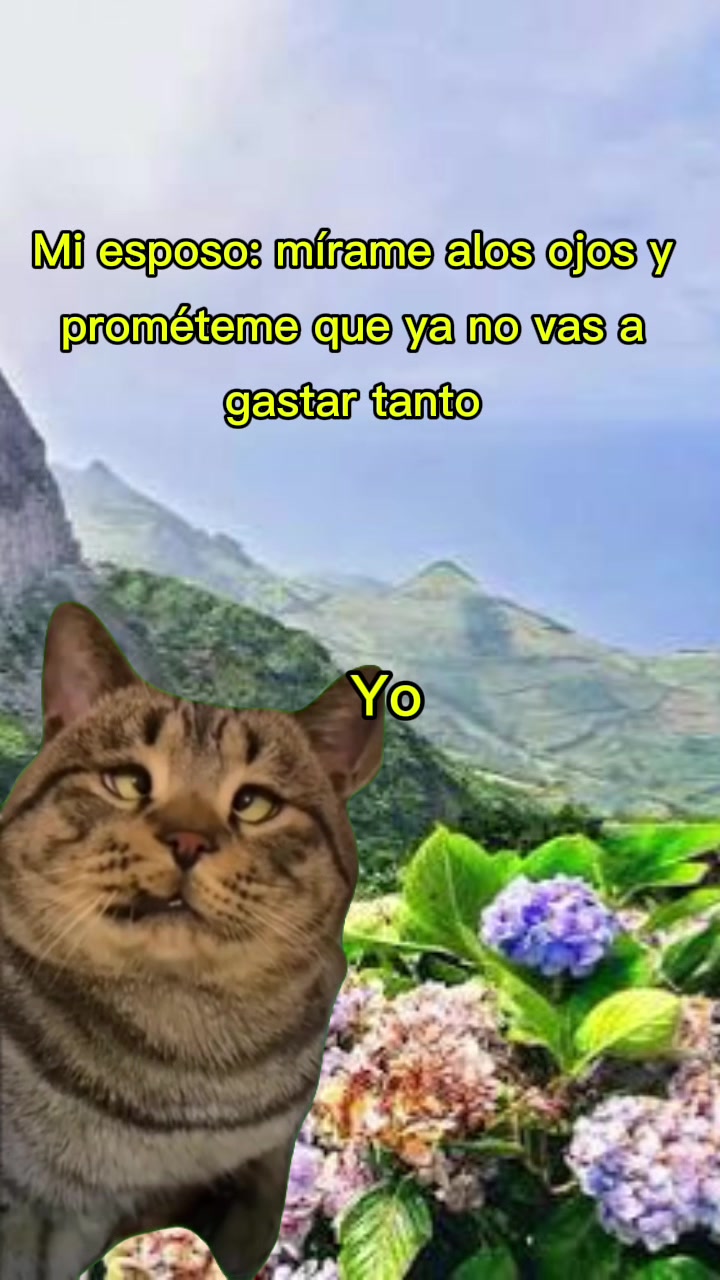 @Vane LC