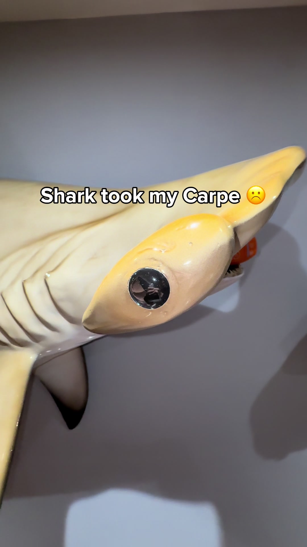 @contentcreator