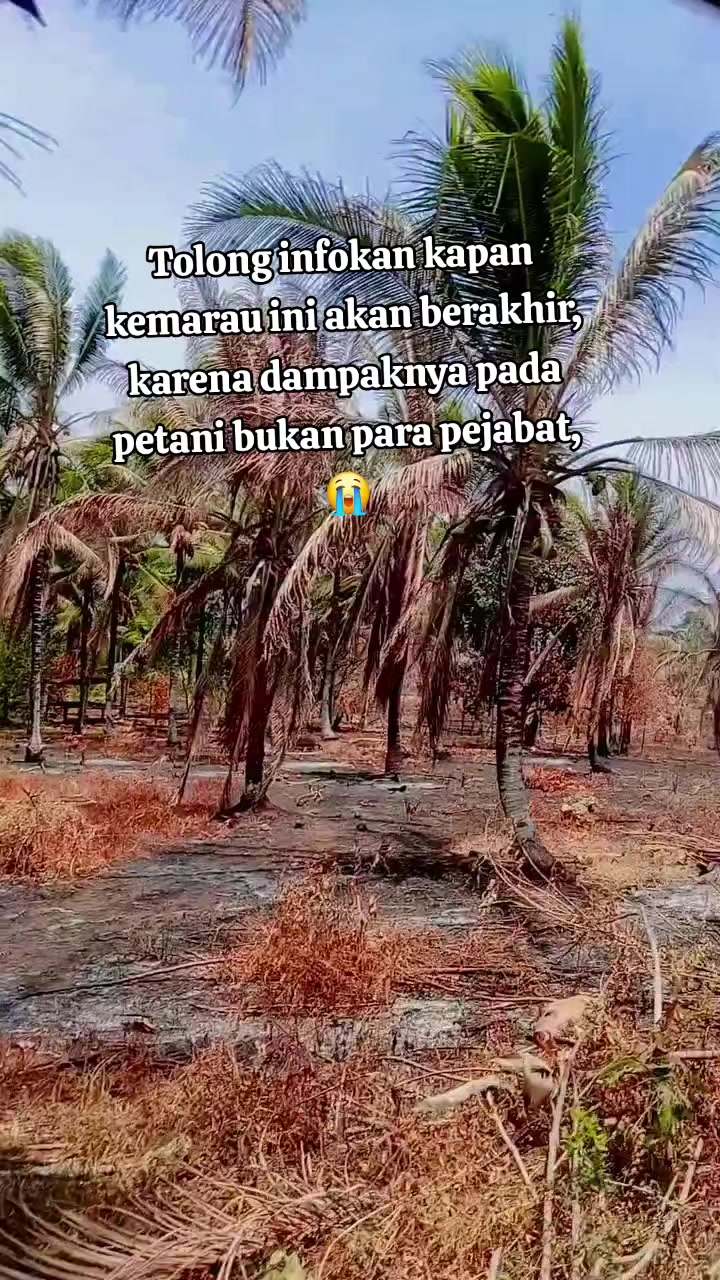 @S.Abdullah.23-14