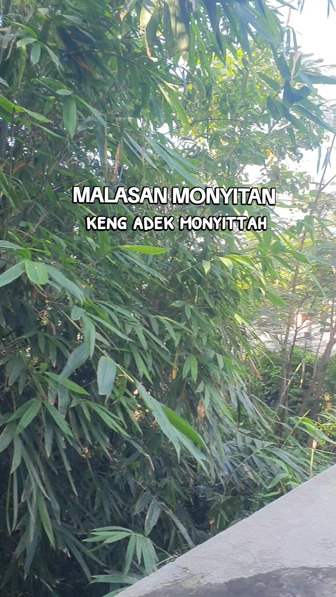 @T@RETAN PROBOLINGGO