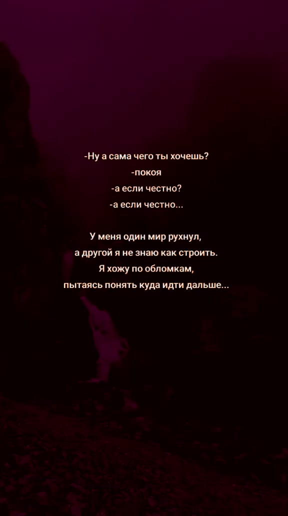 @Vik🐻toria
