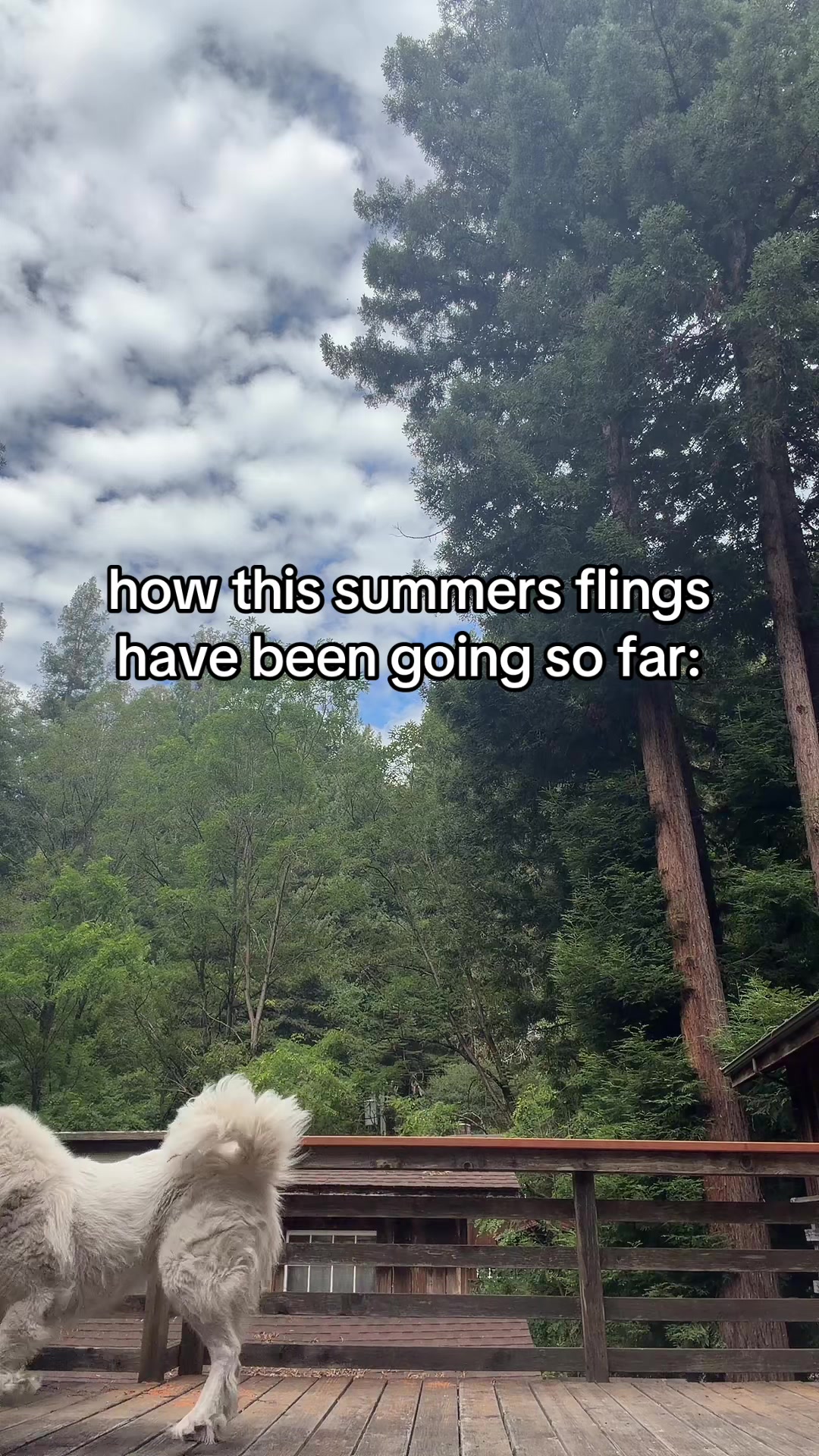 @rachelaine 🌻