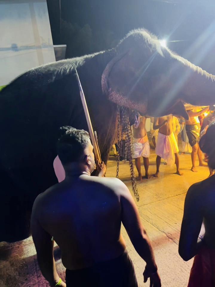 @nilu.niru🧿