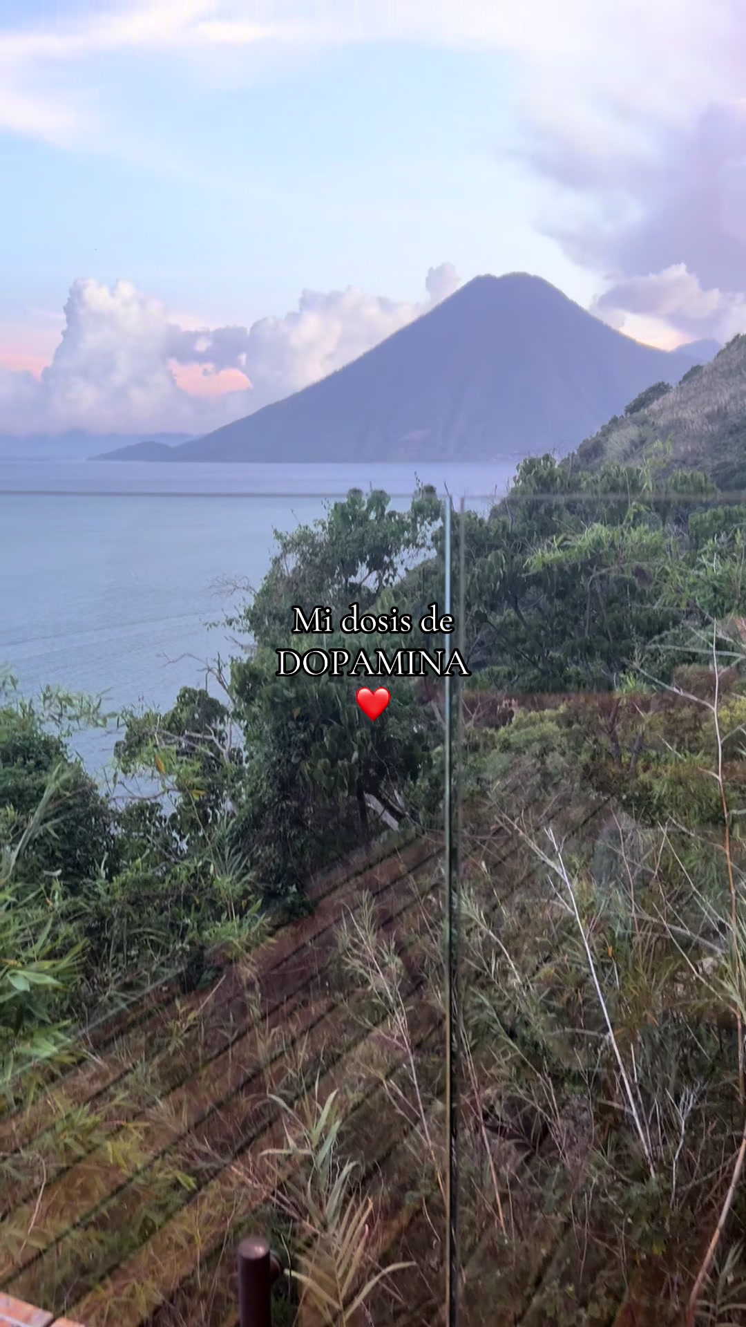 @Yoja ❤️🦋