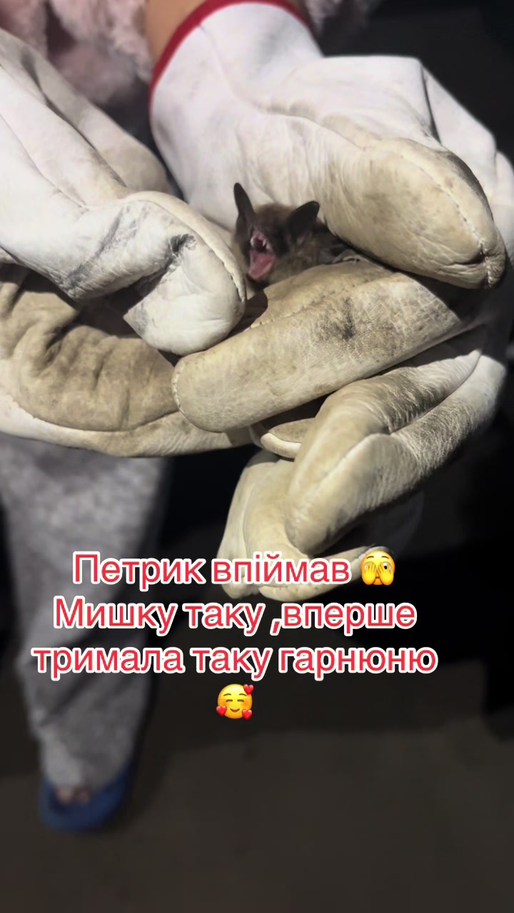 @Оленка _зміючка
