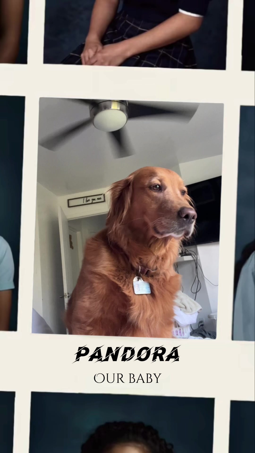 @Pandora