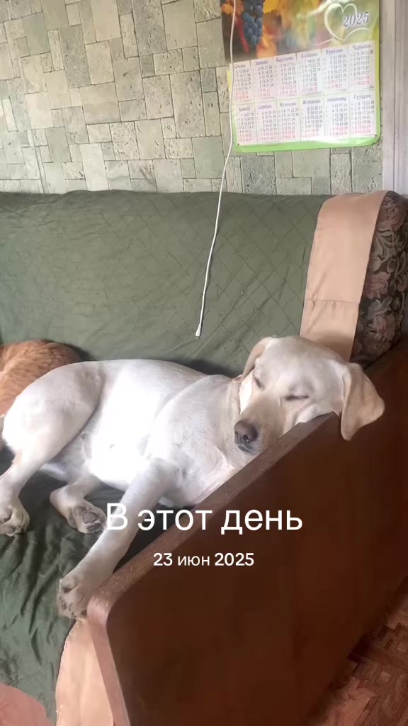@Oksana