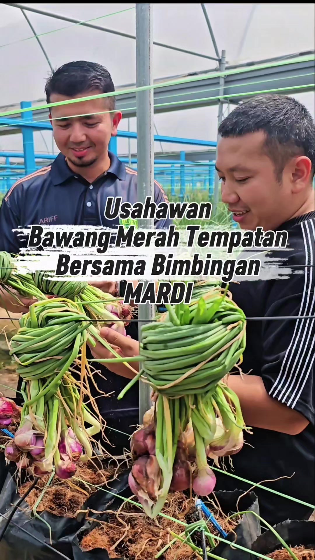 @MARDI MALAYSIA