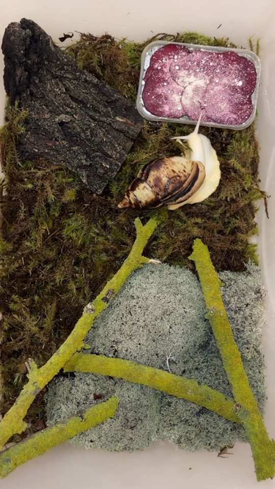@_.v_snail_v._