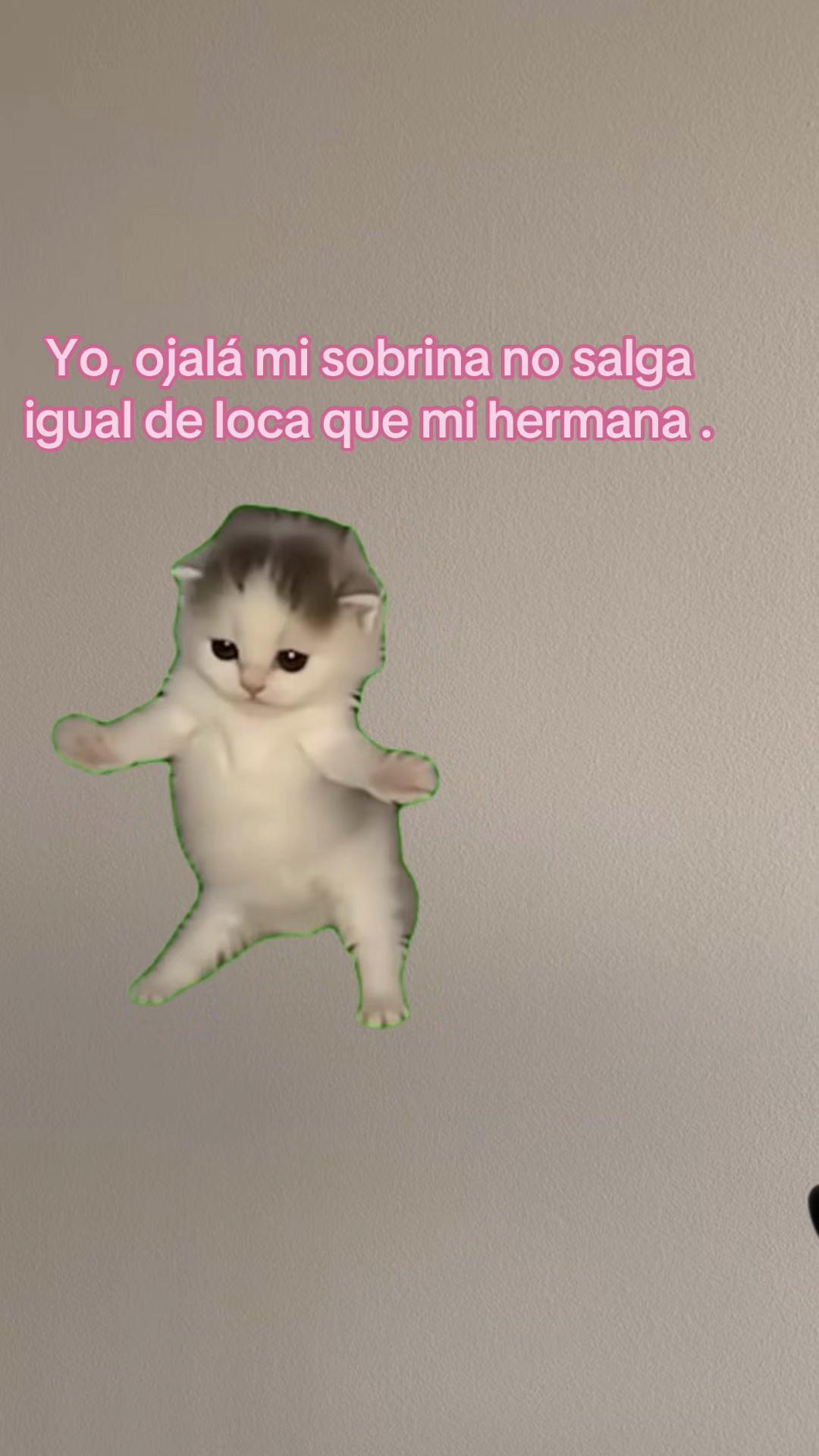 @sindyflores730