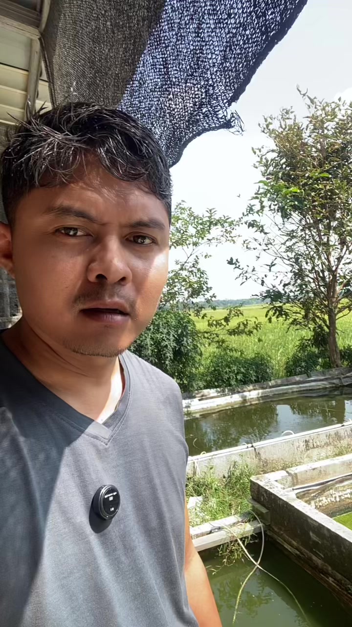 @NAMI TOKOKU