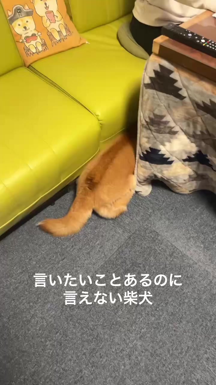 @てんくう