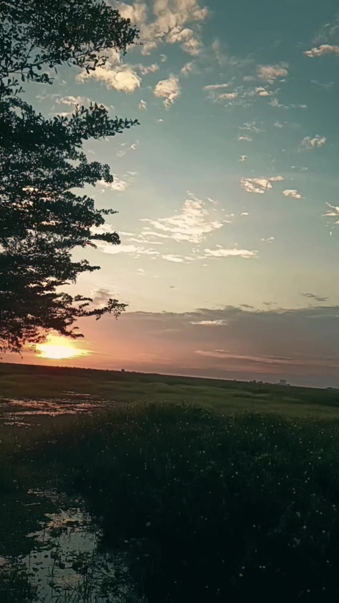 @mr_yudi
