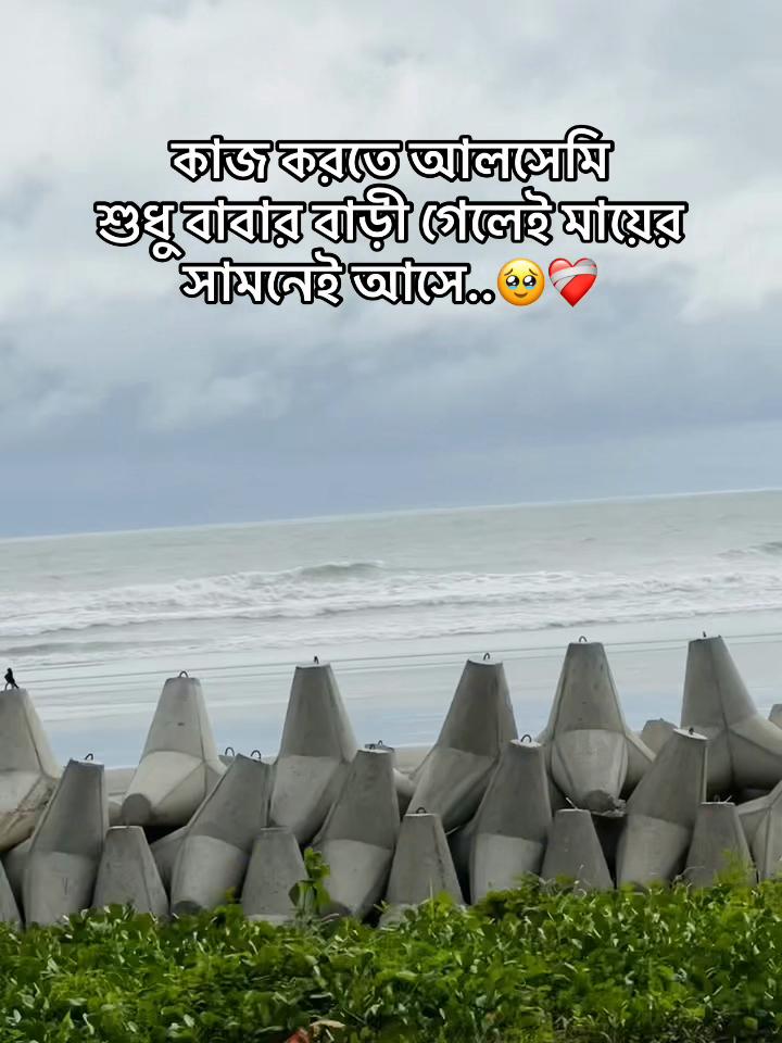 @🌧️Akasher Bristy🌧️