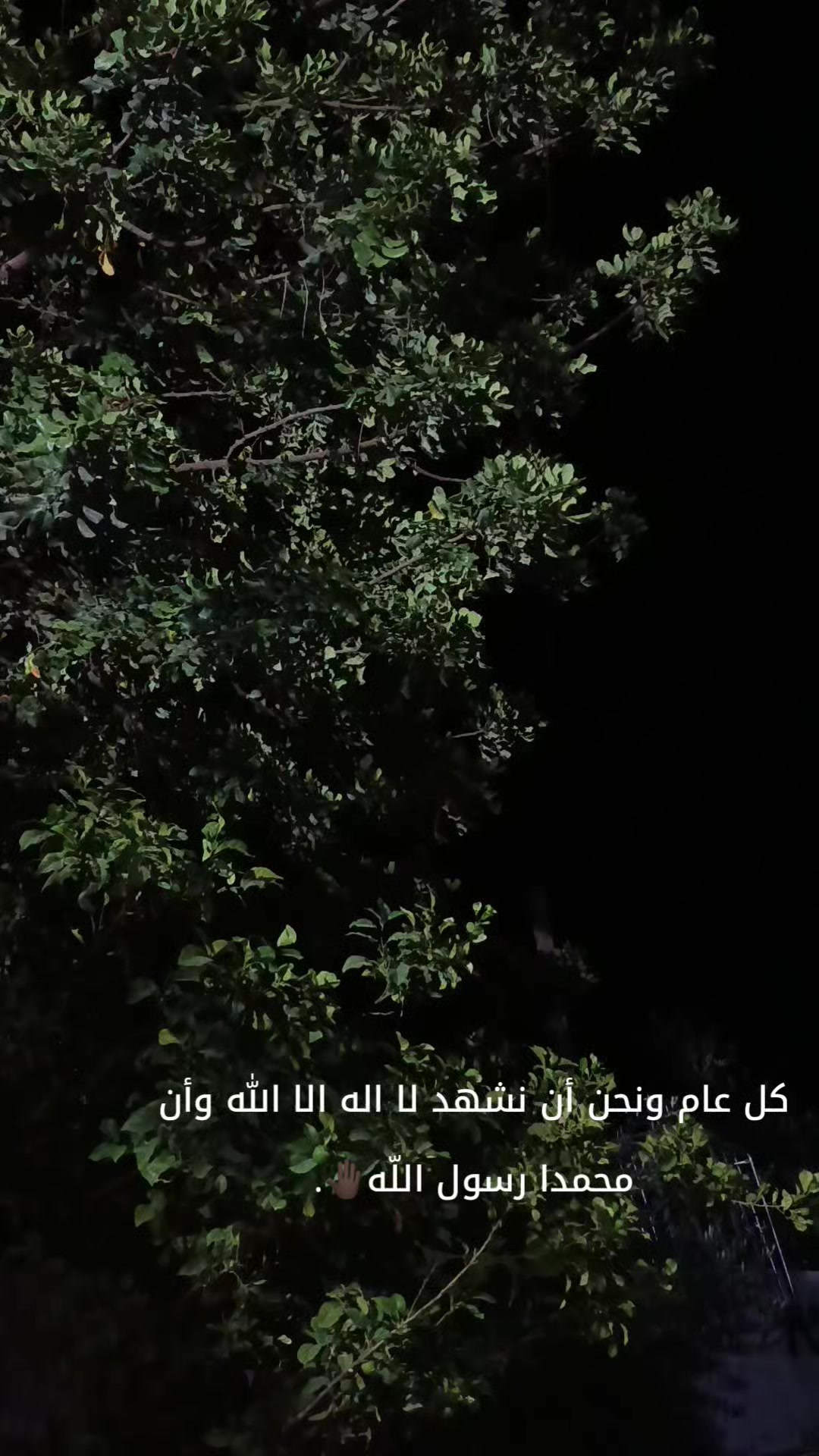 @𓆩𓆩جـۗـۗـۙاد || 𝓙𝓐𝓐𝓓𓆪𓆪