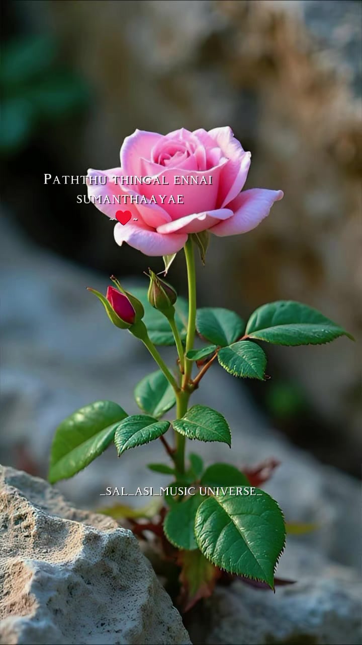 @Sangeetha keetha